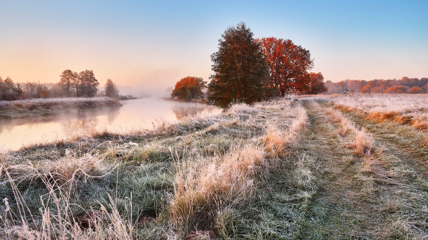 Frosty Morning