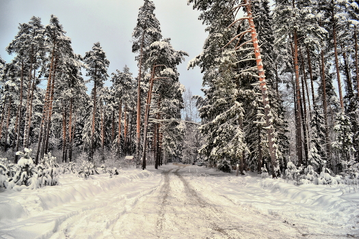 Winter road
