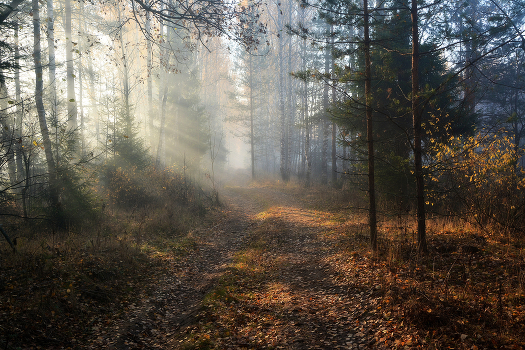 In the morning