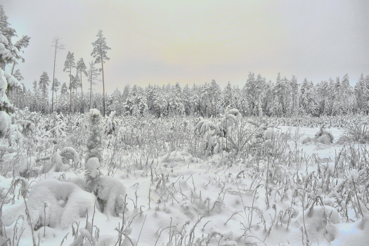 After snowfall