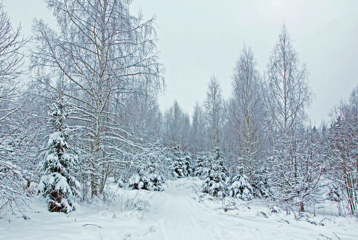 Cold ...