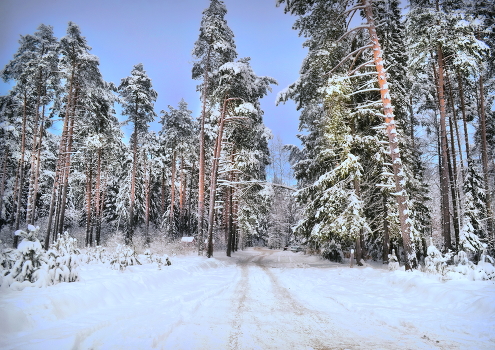 winter