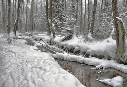 Winter road