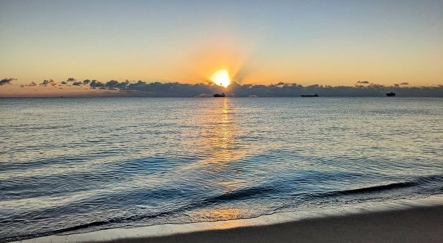 January dawns