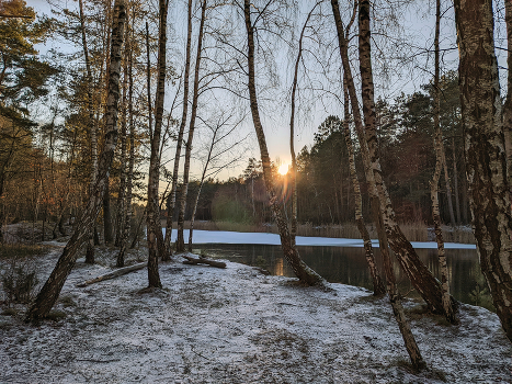 Winter evening