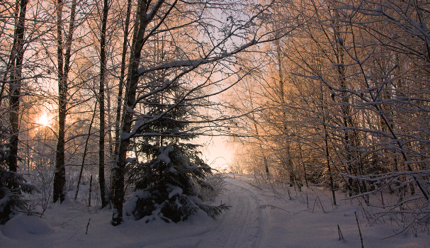 The December afternoon