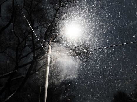 Winterabend