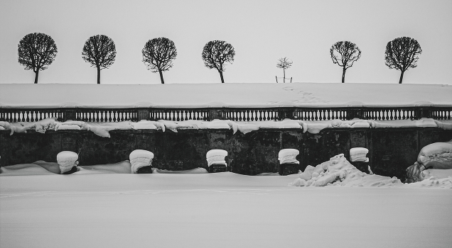 winter park