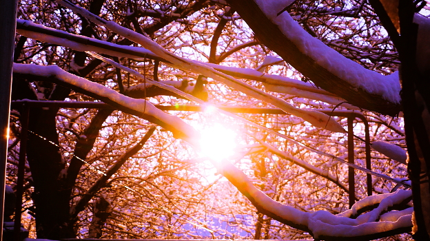 sunny day