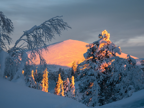 Winter morning.