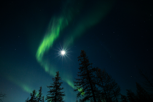 Aurora