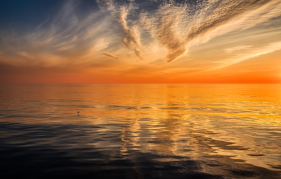 Reflections