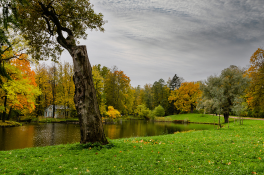 Autumn