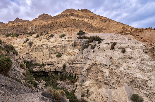 An oasis in the desert