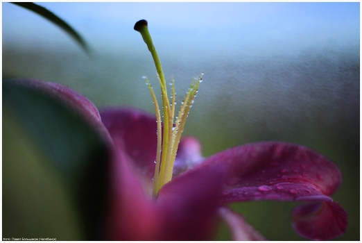After the rain