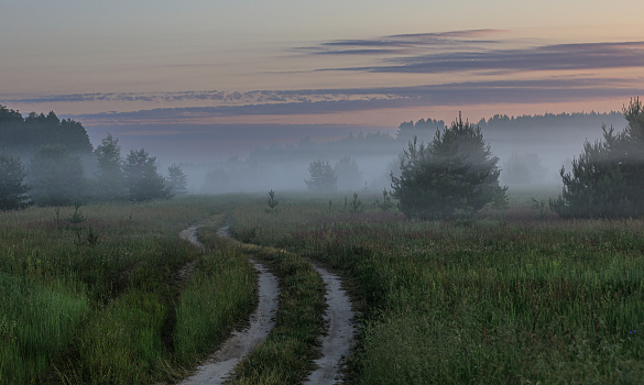 At dawn