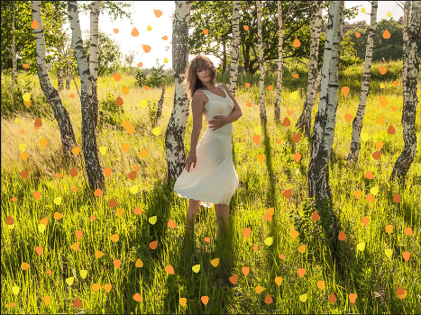 premonition of autumn