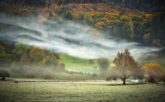 Visiting fall