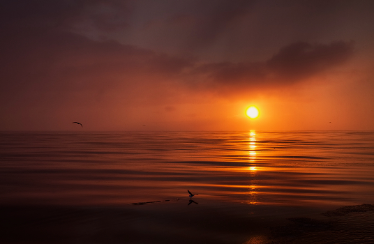 Sunrise