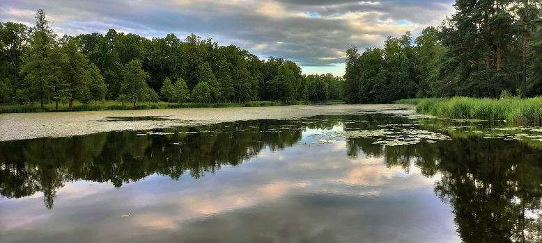 Evening on the lake