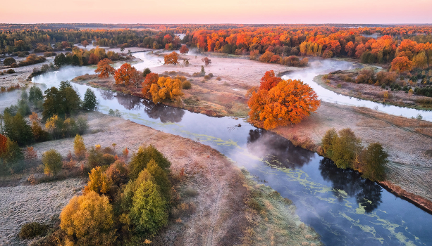 Autumn in full swing