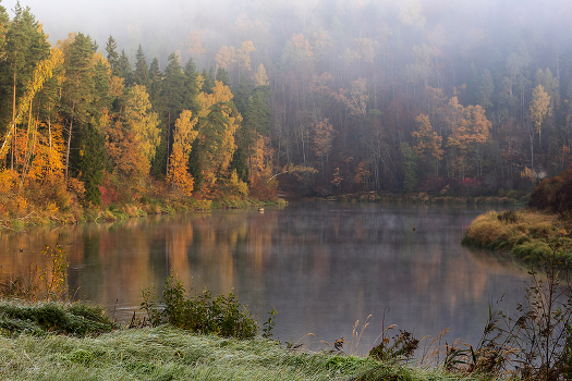Der erste Frost