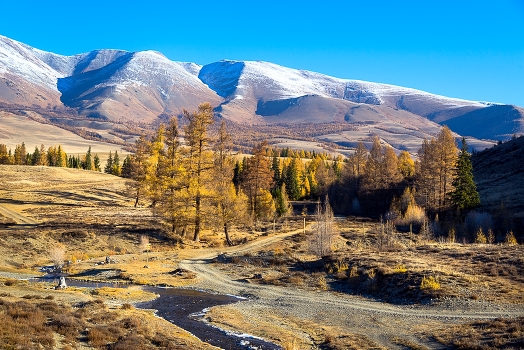***