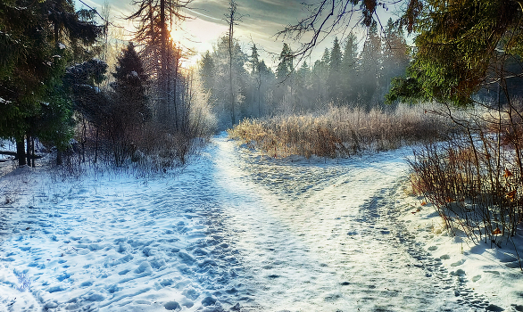 hate winter