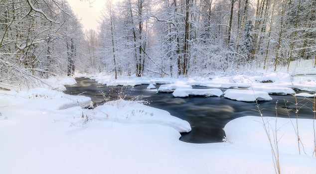 Forest River