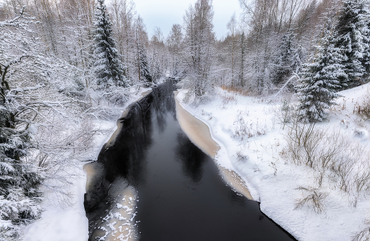 Forest River