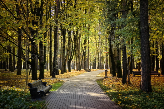 Herbst in der Stadt
