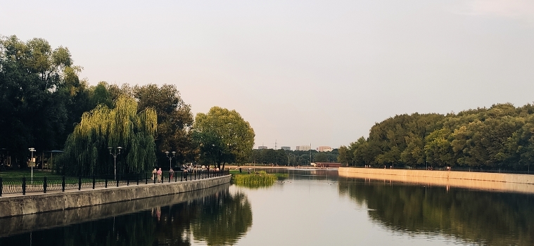 In the park.