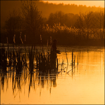 angler sun