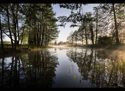 Spring Morning
