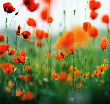 May
