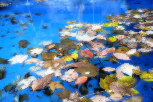 Water curtain