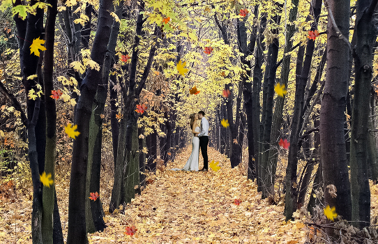Autumn Blues