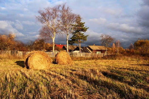 Herbst-Tag