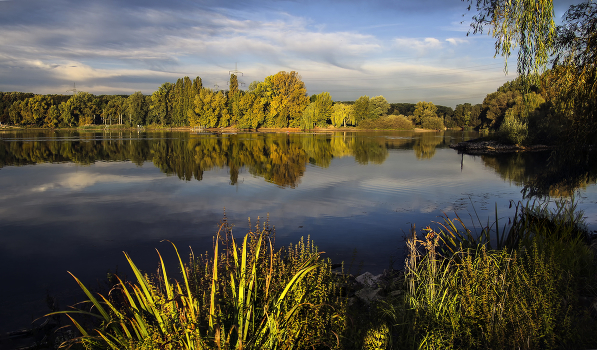 Morning on the lake