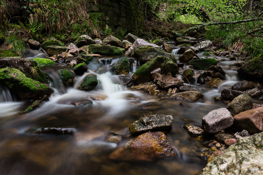 Bachlauf