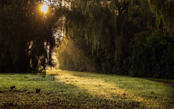 Sunbeam