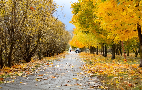 Autumn Life