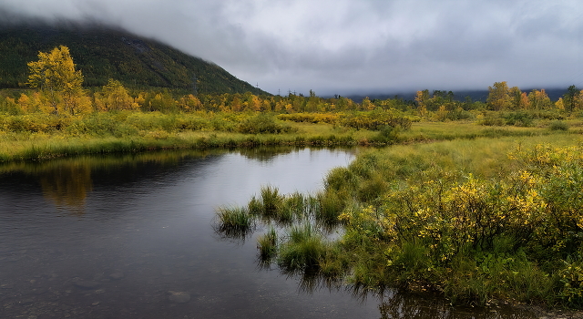 Remembering the fall.