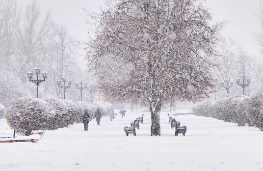 Another snowstorm