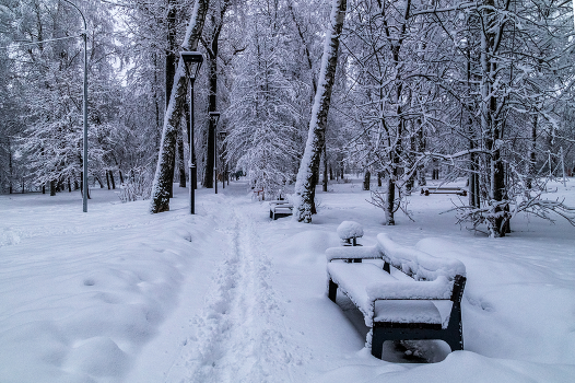 Winter Park