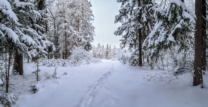 Winter road