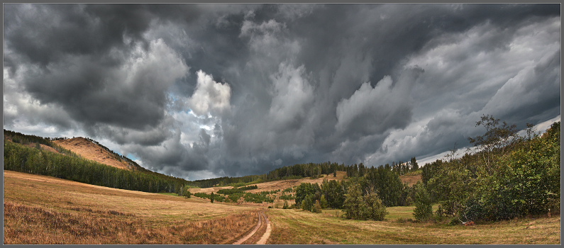 Cold Front