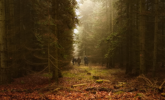 Toward the Light