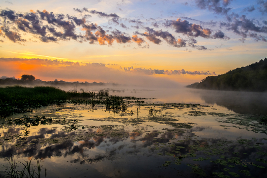 Morning on the lake.