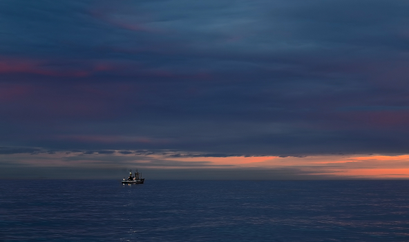 blue evening